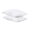 Image of DreamZ 2 Pcs Set Of Waterproof Bamboo Pillow Protector