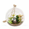 Image of Hanging Glass Ball Vase Flower Planter Pot Terrarium Container Home Garden Decor