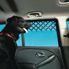 Image of Car Window Vent Universal Travel Guard Pets Dogs Puppy Open Grill Hot Weather