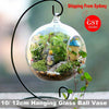 Image of Hanging Glass Ball Vase Flower Planter Pot Terrarium Container Home Garden Decor