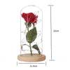 Image of Beauty And The Beast Enchanted Rose LED Glass Cover Night Light Lamp Flower Gift