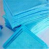Image of 300pcs Puppy Pet Dog Pads 60x60cm Indoor Cat Toilet Training Absorbent AU