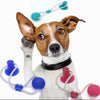 Image of Pet Molar Bite Toy Multifunction Floor Suction Cup Dog Balls Interactive Puppy A