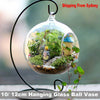 Image of Hanging Glass Ball Vase Flower Planter Pot Terrarium Container Home Garden Decor