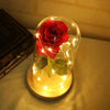 Image of Beauty And The Beast Enchanted Rose LED Glass Cover Night Light Lamp Flower Gift