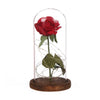 Image of Beauty And The Beast Enchanted Rose LED Glass Cover Night Light Lamp Flower Gift