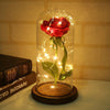 Image of Beauty And The Beast Enchanted Rose LED Glass Cover Night Light Lamp Flower Gift