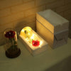 Image of Beauty And The Beast Enchanted Rose LED Glass Cover Night Light Lamp Flower Gift