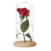 Image of Beauty And The Beast Enchanted Rose LED Glass Cover Night Light Lamp Flower Gift