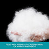 Image of DreamZ 500GSM All Season Goose Down Feather Filling Duvet in Super King Size