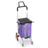 Image of Foldable Shopping Cart Trolley Stainless Steel Basket Luggage Grocery Portable