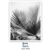 Image of Black and White Palm Tree Print, Tropical Print, Palm Tree Print, Palm Leaves, Fan Palm, Black and White Photo, Leaves Print, Printable Art