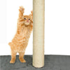 Image of PaWz Pet Cat Tree Scratching Post Scratcher Trees Gym House Condo Furniture Wood