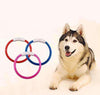 Image of Pet Accessories - Rechargeable Luminous Flashing Pet Collar