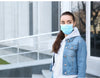 Image of Face Mask Filter Disposable Masks Anti Dust Respirator Air Pollution X10