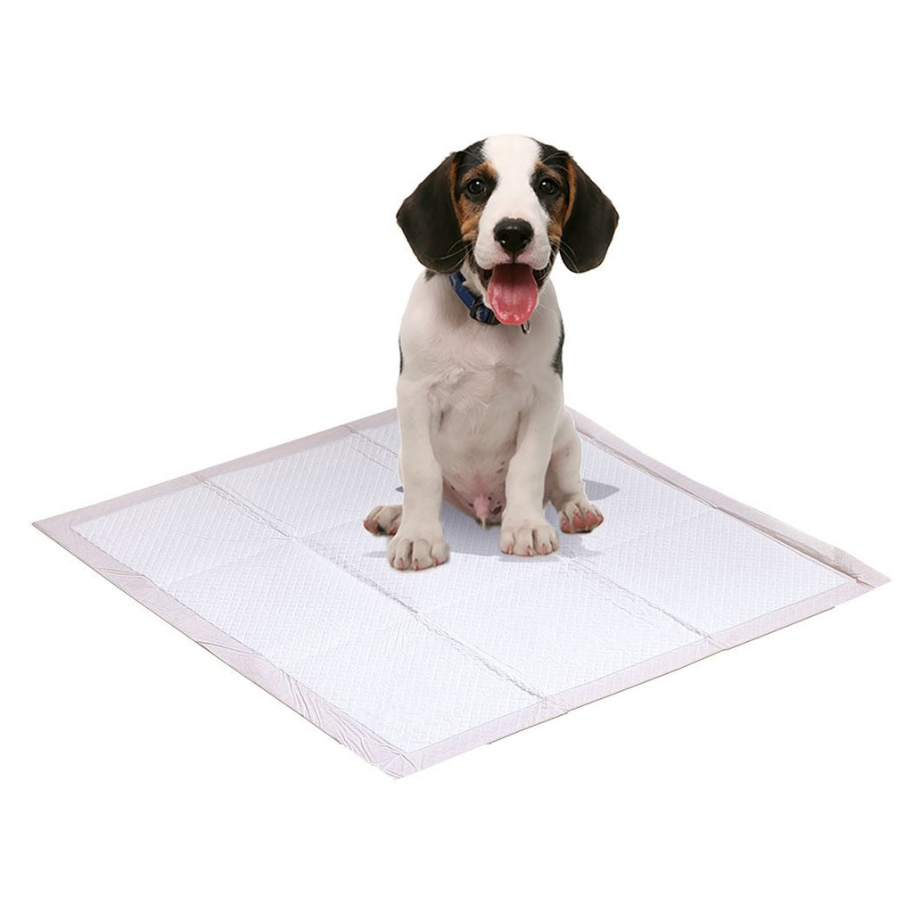 PawZ 200 Pcs 60x60 cm Pet Puppy Dog Toilet Training Pads Absorbent Meadow Scent