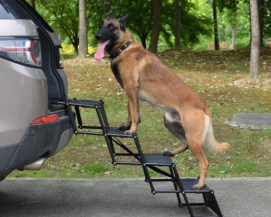 Lightweight Foldable Pet Ramp