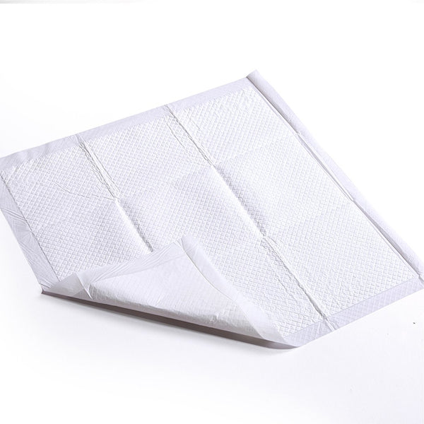 PawZ 200 Pcs 60x60 cm Pet Puppy Dog Toilet Training Pads Absorbent Meadow Scent