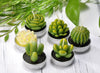 Image of Scented Candles Cactus Tealight Smokeless Handmade Cute Mini Plants Gift Set