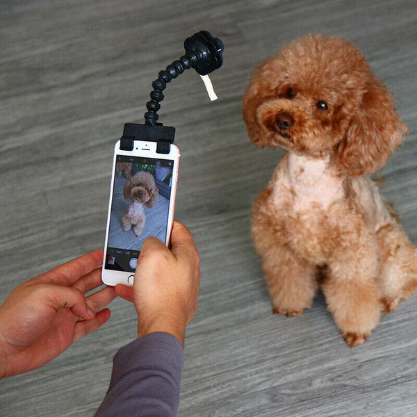 Treat selfie stick for your device to photograph your pet dog or cat