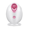 Image of Electric Facial Steamer Spa Steam Sprayer Nano Mist Cleaner Steaming Machine Skin Care