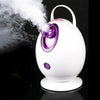 Image of Electric Facial Steamer Spa Steam Sprayer Nano Mist Cleaner Steaming Machine Skin Care