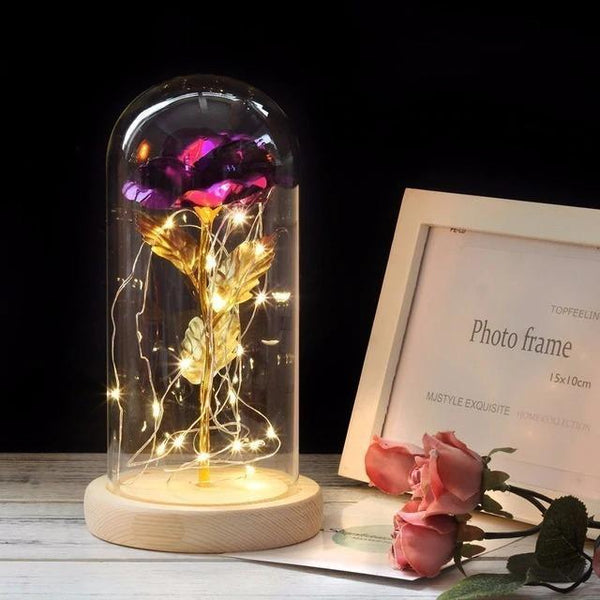 Enchanted Rose | Gift your loved one ❤️