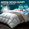 Image of DreamZ 500GSM All Season Goose Down Feather Filling Duvet in Super King Size