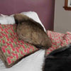 Image of Wallaby fur cushion