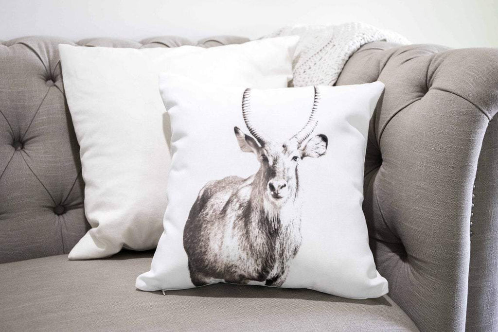 Antelope Cushion Cover - Throw Pillow - Stag - Gift for Animal Lovers - Wildlife - Waterbuck Cushion - Decorative Cushion - Neutral Tone