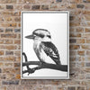 Image of Kookaburra print, digital download, black and white photo, wildlife print, Kookaburra poster, printable wall art, instant download