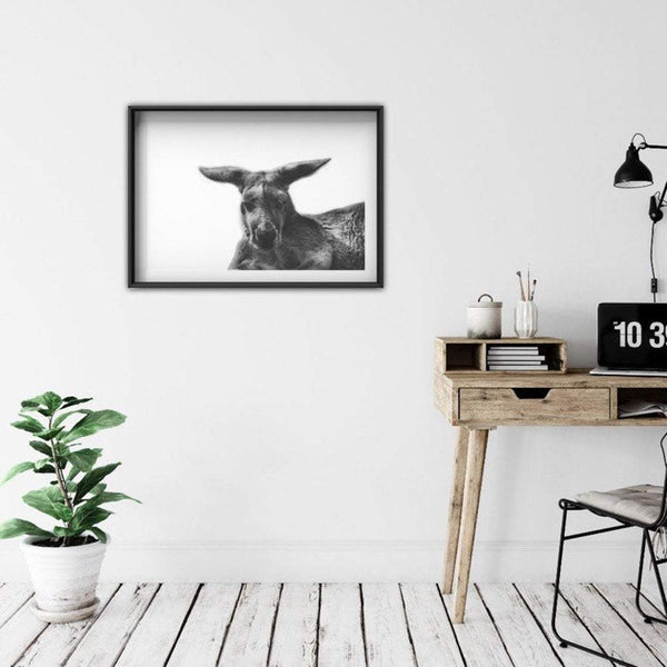 Kangaroo print, digital download, black and white photo, wildlife print, Kangaroo poster, printable wall art, instant download