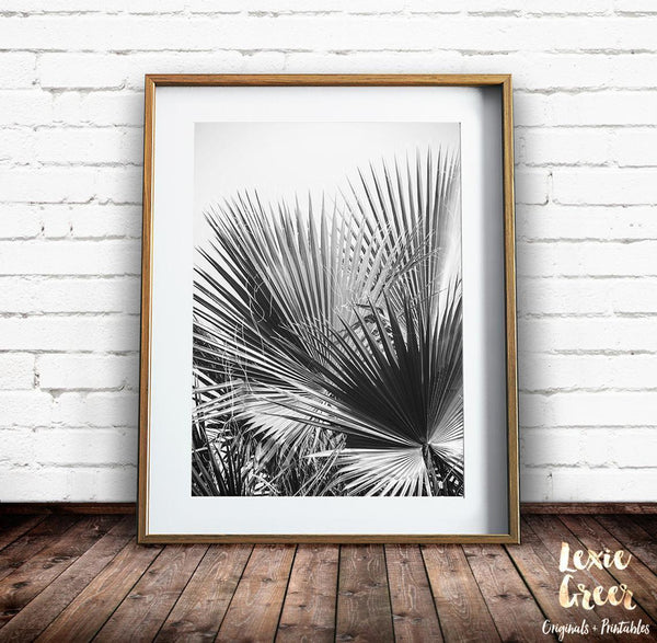 Black and White Palm Tree Print, Tropical Print, Palm Tree Print, Palm Leaves, Fan Palm, Black and White Photo, Leaves Print, Printable Art