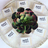 Image of Chanel No.5 Soy Wax Melts
