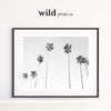 Image of Palm Tree Print, Black and White Palm Trees, Tropical Wall Art, Californian Palm Tree Print, Modern Wall Prints, Palm Tree Photo Printable