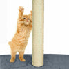 Image of PaWz 1.7M Cat Scratching Post Tree Gym House Condo Furniture Scratcher Tower